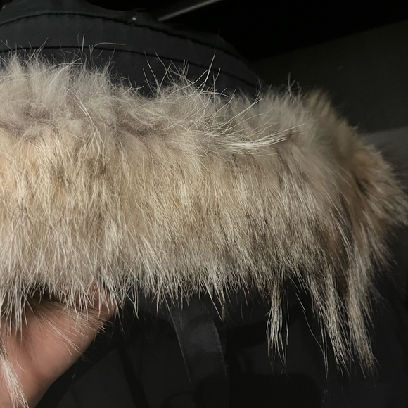 Canada goose montebello (size S) - Picture 8 of 8